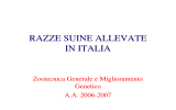 RAZZE SUINE ALLEVATE IN ITALIA