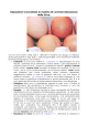 Disposizioni sulla commercializzazione delle uova