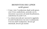 biosintesi acidi grassi 2010