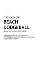 Regolamento BEACH DODGEBALL
