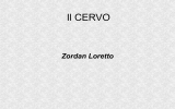 Il CERVO - Provincia di Vicenza