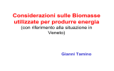 Considerazioni sulle Biomasse utilizzate per produrre energia