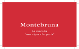 Montebruna