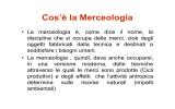 Lezione n.1 - Merceologia- Risorse Riserve [modalità compatibilità]