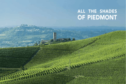 of piedmont - I paesaggi vitivinicoli