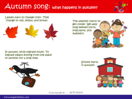 Autumn song: what happens in autumn?