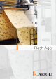 Flash Ager - Arioli.biz