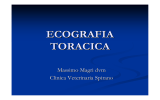 ecografia toracica - Clinica Veterinaria Spirano