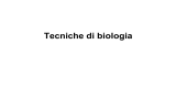 Tecniche di biologia