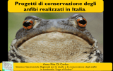 5_progetti di conservazione anfibi in Italia_Di Cerbo