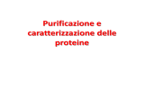 Purificazione e caratterizzazione delle proteine