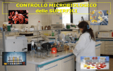 Controllo superfici con metodi microbiologici e rapidi