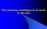 Immunità intestinale - Microbiologia TorVergata