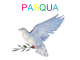 2015-2016-pasquaib