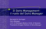 Il Data Manager