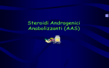 Anabolizzanti (vnd.ms-powerpoint, it, 2384 KB, 11/29/05)