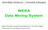 WEKA - Università di Bologna