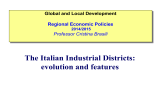 The Italian Industrial Districts: evolution and features