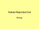 Human Reproduction Biology