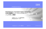 WebSphere Transformation Extender WMQ連携とリソース・レジストリー ハンズオン演習 WebSphere Service