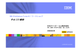 Web 2.0 機能 IBM WebSphere Portal 6.1 ワークショップ 日本アイ・ビー・エム株式会社 ロータス・テクニカル・セールス