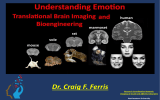 Dr. Craig F. Ferris Research Coordination Network: Northeastern University