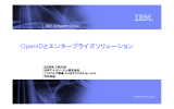 OpenIDとエンタープライズソリューション IBM Software Group ２００９年 ２月２０日 日本アイ・ビー・エム株式会社