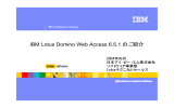 IBM Lotus Domino Web Access 6.5.1 のご紹介 2004年03月 日本アイ・ビー・エム株式会社 ソフトウェア事業部