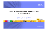 Lotus Notes/Domino 8.0 8.0.2 日本アイ･ビー･エム株式会社 Lotus