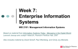 Week 7: Enterprise Information Systems MIS 2101: Management Information Systems