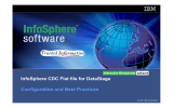 InfoSphere CDC Flat file for DataStage Configuration and Best Practices