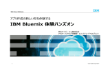 IBM Bluemix 体験ハンズオン アプリ作成の新しい形を体験する 日本アイ・ビー・エム株式会社 クラウド・ソフトウェア事業部 エコシステム・デベロップメント