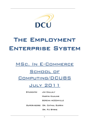 The Employment Enterprise System  MSc. In E-Commerce