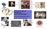 The marriage of Medicine and Cell Biology….