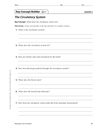 The Circulatory System Key Concept Builder LESSON 2 Key Concept