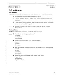 Cells and Energy Lesson Quiz  A True or False LESSON 4