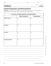 Cellular Respiration and Photosynthesis Challenge LESSON 4 Comparison of Cellular Respiration and Photosynthesis
