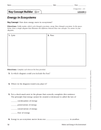 Energy in Ecosystems Key Concept Builder LESSON 3 Key Concept