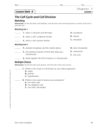 The Cell Cycle and Cell Division Chapter 3 Lesson Quiz  A Matching