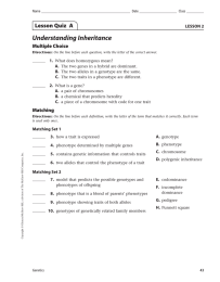Understanding Inheritance Lesson Quiz  A Multiple Choice LESSON 2