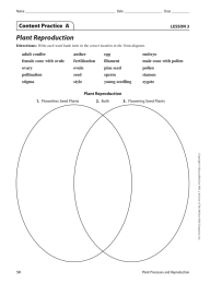 Plant Reproduction Content Practice  A