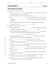 The Endocrine System Lesson Outline LESSON 3 A.