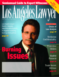 LosAngelesLawyer Semiannual Guide to Expert Witnesses