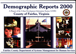 2000 Demographic Reports of County