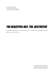 DESTROYER THE BEAUTIFUL BOY, THE