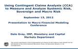 Using Contingent Claims Analysis (CCA) to Measure and Analyze Systemic Risk,