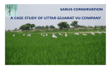 CONTRIBUTION OF ACORPORATE IN SARUS CONSERVATION CONSERVATIO