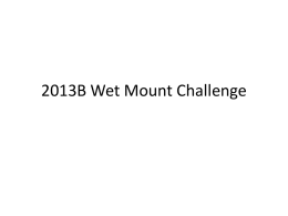 2013B Wet Mount Challenge