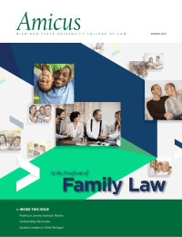 Amicus Family Law At the Forefront of
