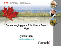 Supercharging your P fertilizer – Does it Work? Cynthia Grant